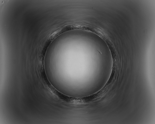 X0000086290415200704131552