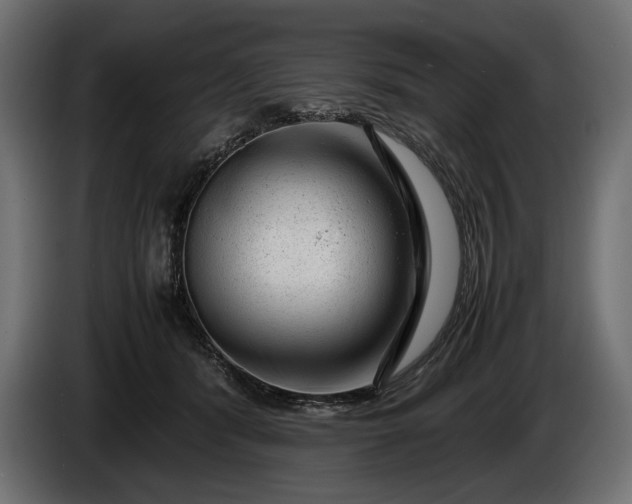 X0000086290416200704131552