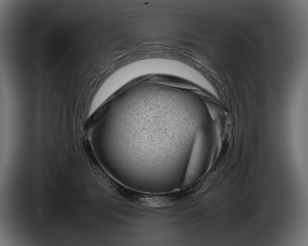 X0000086290417200704131552