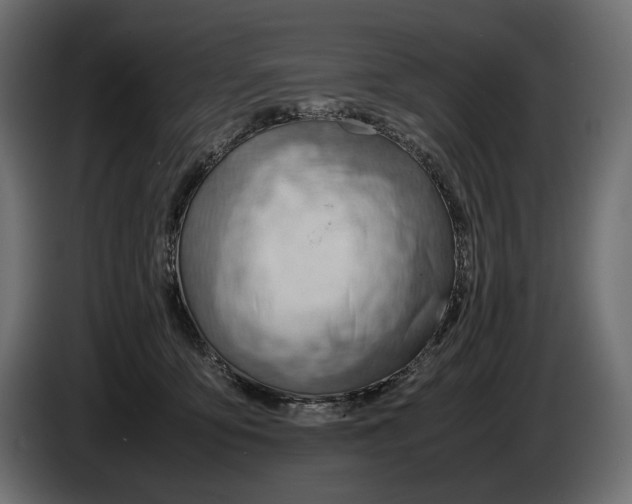 X0000086290419200704131552