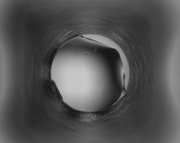 X0000086290421200704131552