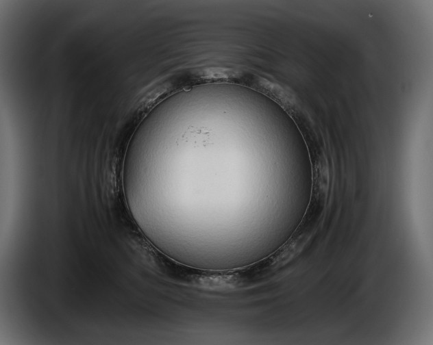 X0000086290422200704131552