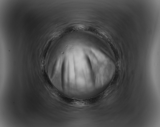 X0000086290423200704131552