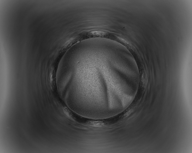 X0000086290424200704131552