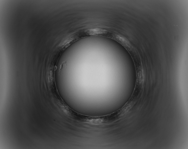 X0000086290426200704131552