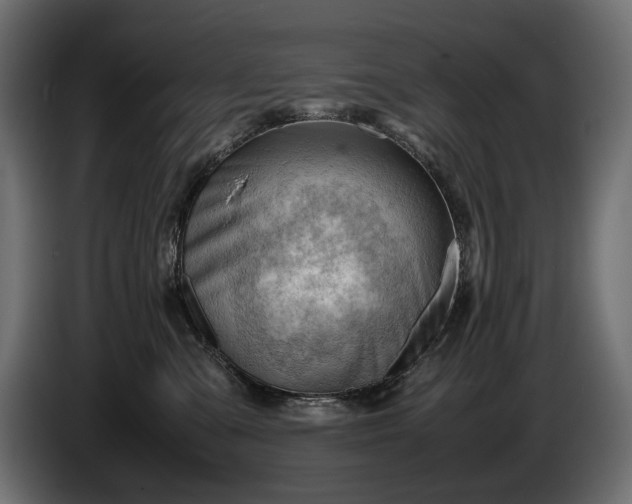 X0000086290427200704131552