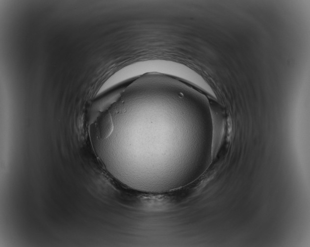 X0000086290428200704131552