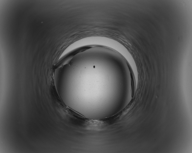 X0000086290429200704131552