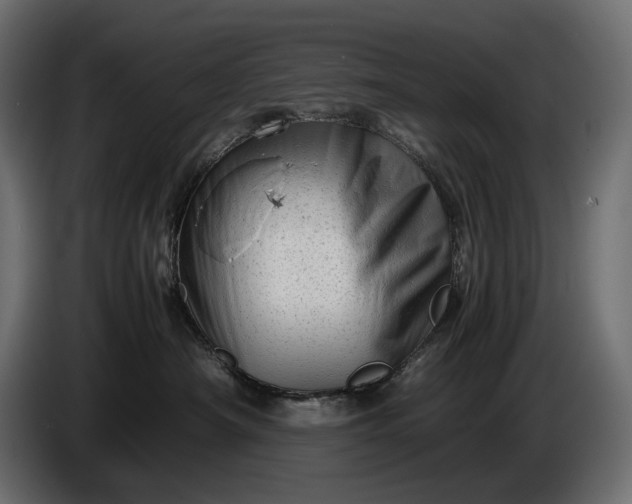 X0000086290430200704131552