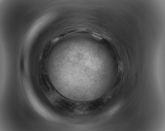 X0000086290431200704131552