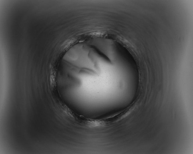 X0000086290432200704131552