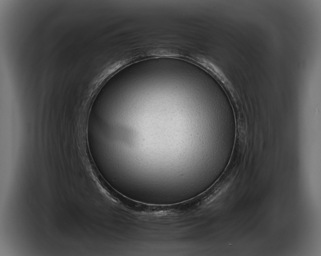 X0000086290433200704131551