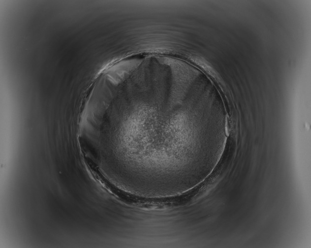 X0000086290434200704131551
