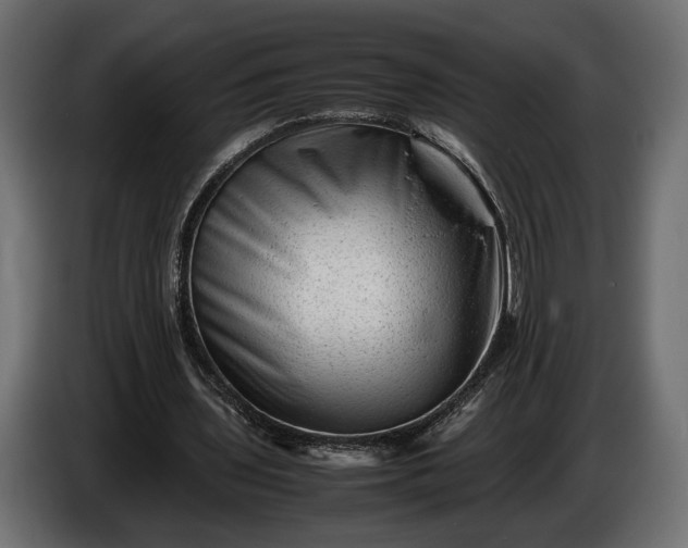 X0000086290435200704131551