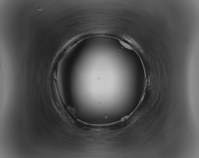 X0000086290436200704131551