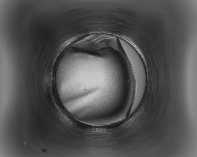 X0000086290437200704131551