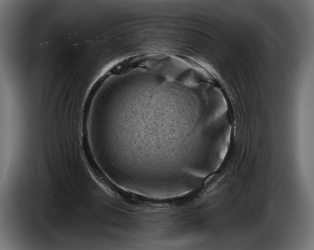 X0000086290438200704131551