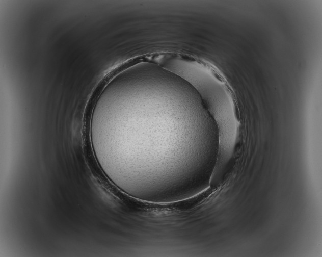 X0000086290439200704131551