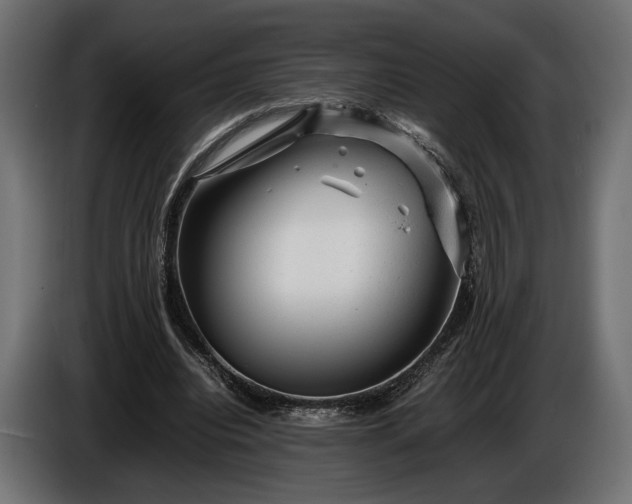 X0000086290440200704131551