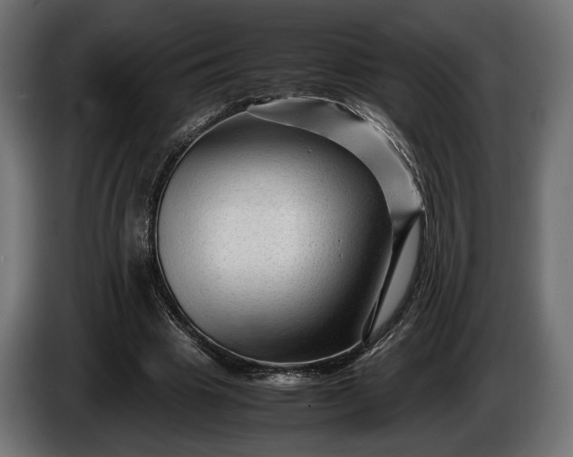 X0000086290441200704131551