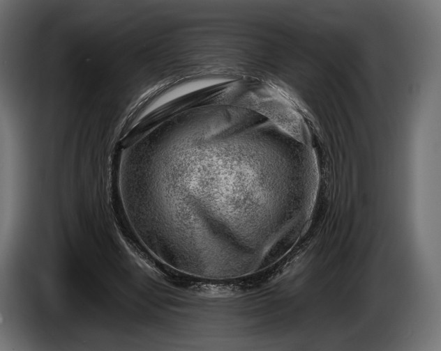 X0000086290442200704131551