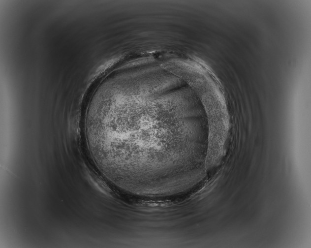 X0000086290443200704131551