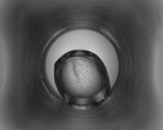 X0000086290444200704131551