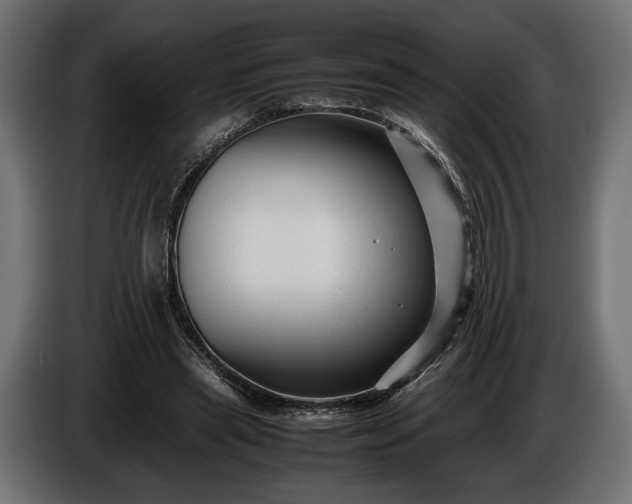 X0000086290445200704131551