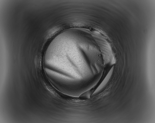 X0000086290446200704131551