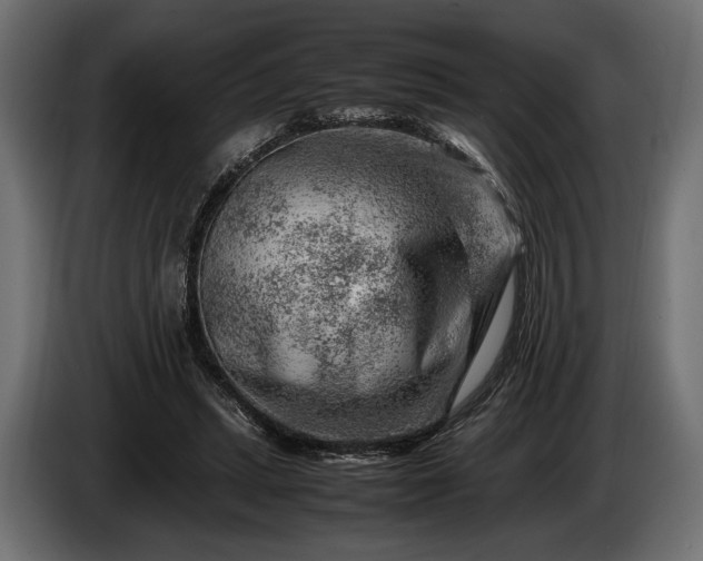 X0000086290447200704131551