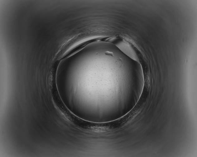 X0000086290448200704131551