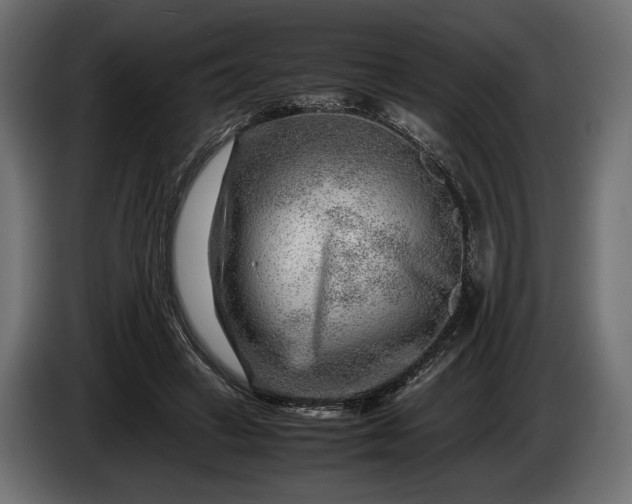 X0000086290449200704131551