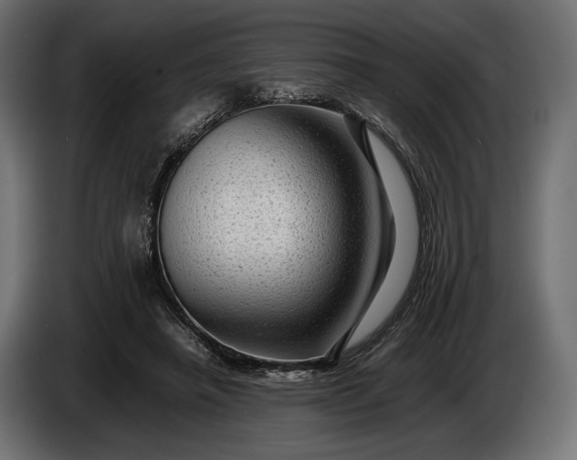X0000086290450200704131551