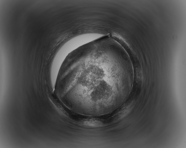 X0000086290451200704131551
