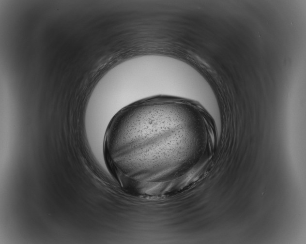X0000086290452200704131551