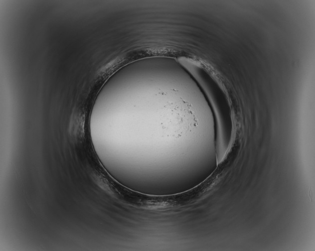 X0000086290454200704131551