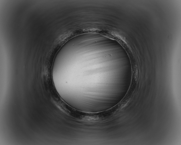 X0000086290455200704131551