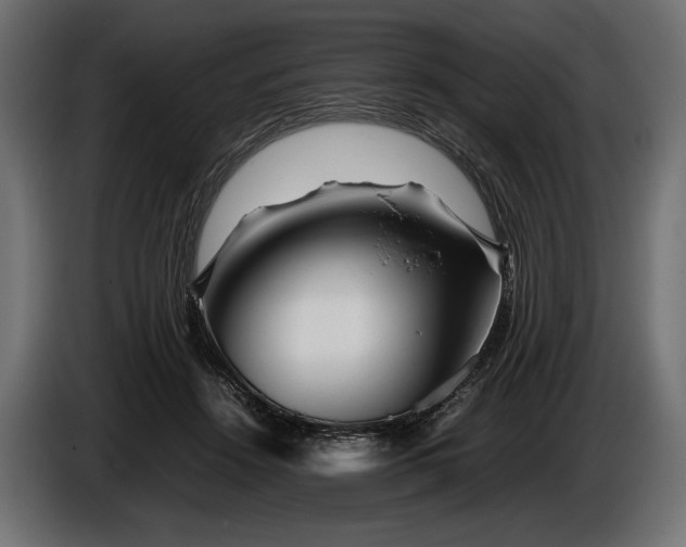 X0000086290456200704131551