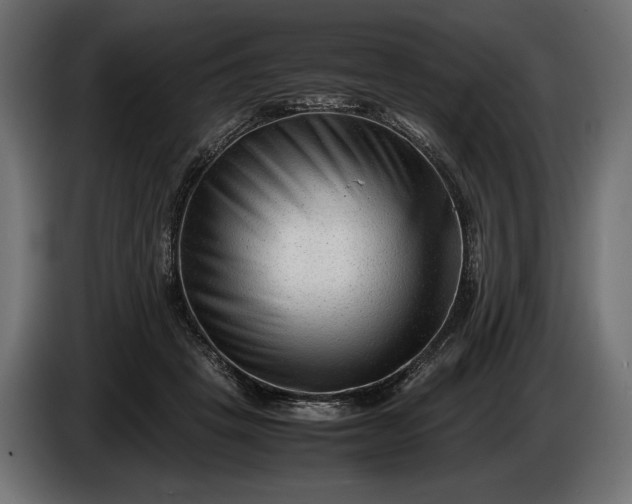 X0000086290457200704131551