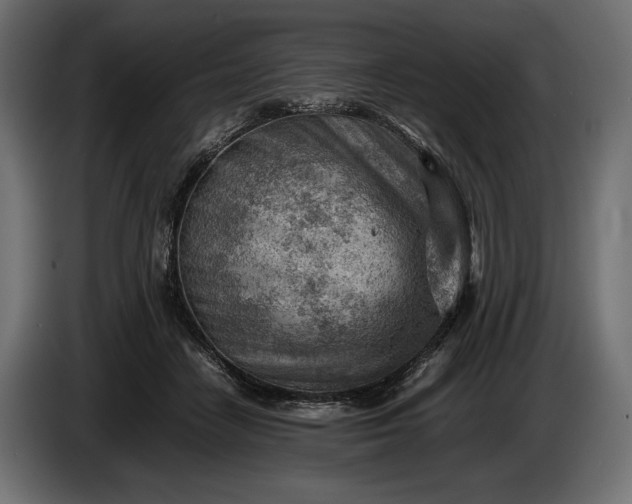 X0000086290458200704131551