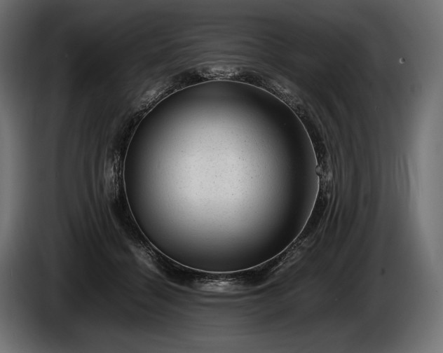 X0000086290460200704131551
