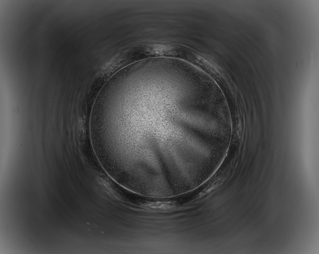 X0000086290461200704131551
