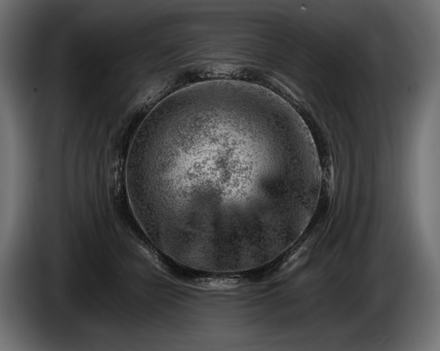 X0000086290462200704131551