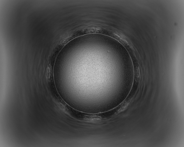 X0000086290463200704131551