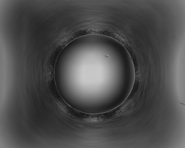 X0000086290464200704131551