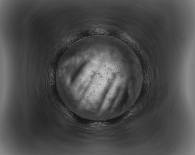 X0000086290465200704131551