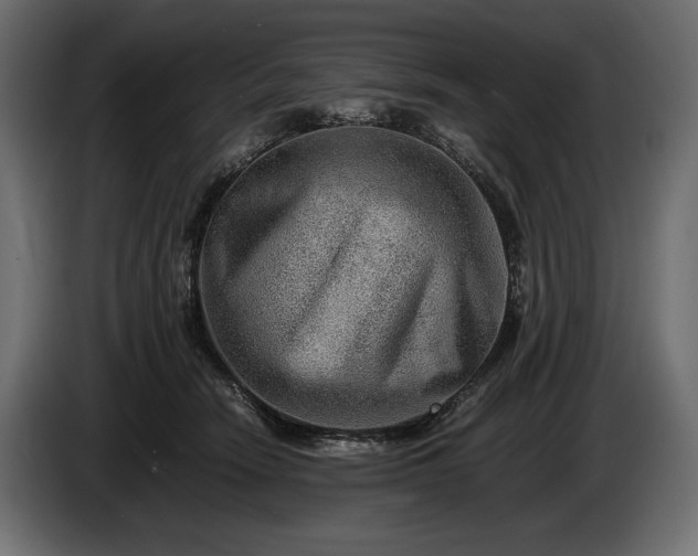 X0000086290466200704131551