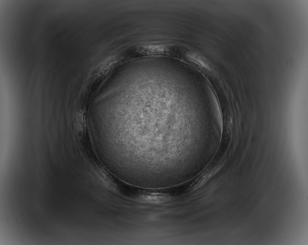 X0000086290467200704131551