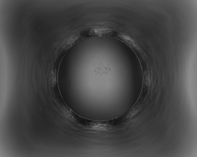 X0000086290471200704131552