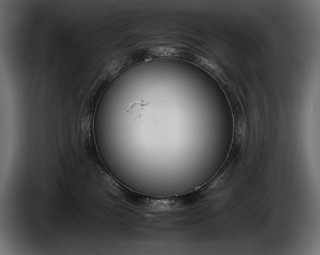 X0000086290473200704131552